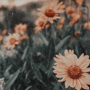 Meet your Posher, Rian